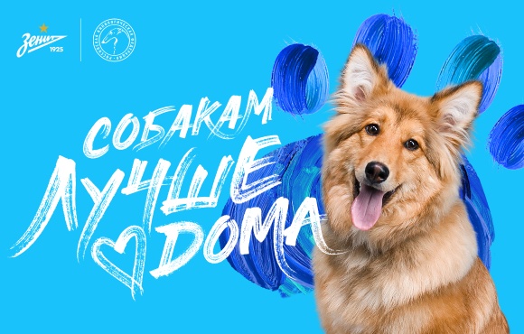 "I cani stanno meglio a casa" è l'ultimo progetto umanitario dello Zenit